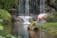 /album/fotogaleria/images-2-jpg/